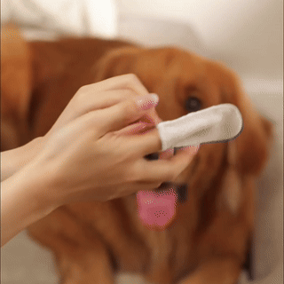 Ubrousky na čištění zubů pro psy a kočky (60 kusů)