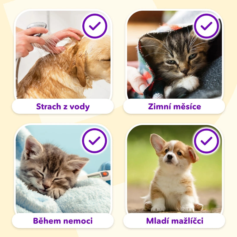 Parní kartáč + 3 esence ZDARMA