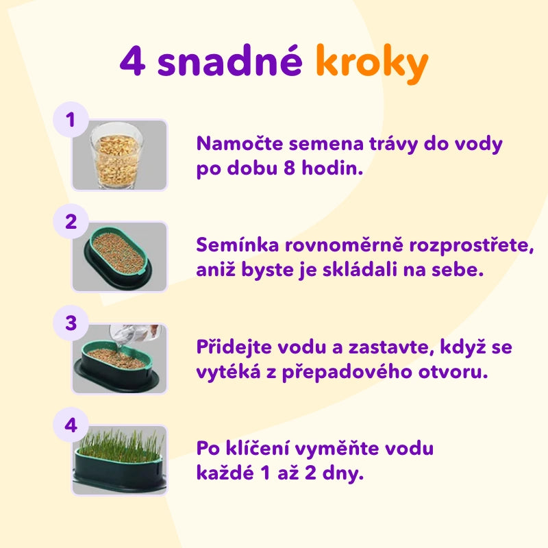 Miska na pěstování trávy kočičí + 3 balení semen ZDARMA