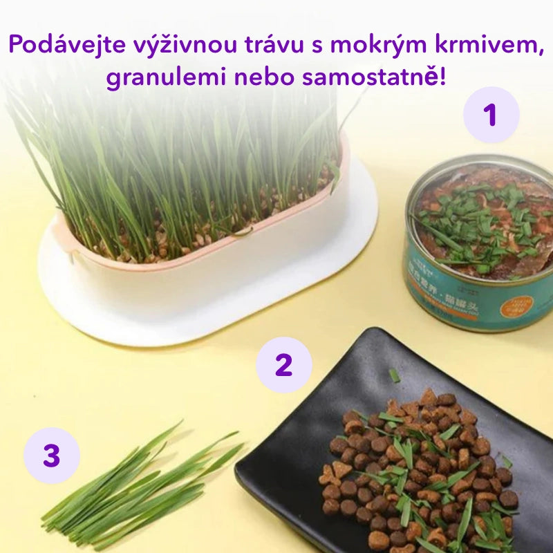 Miska na pěstování trávy kočičí + 3 balení semen ZDARMA