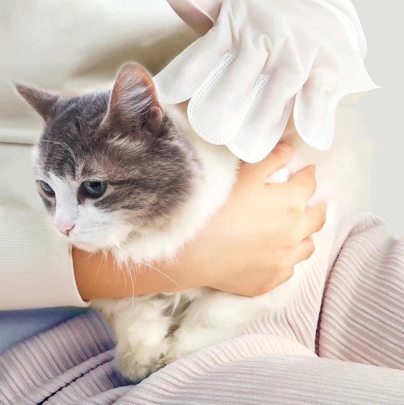 1+1 ZDARMA Čistící vlhčené rukavice pro domácí mazlíčky (2 x 6 kusů)