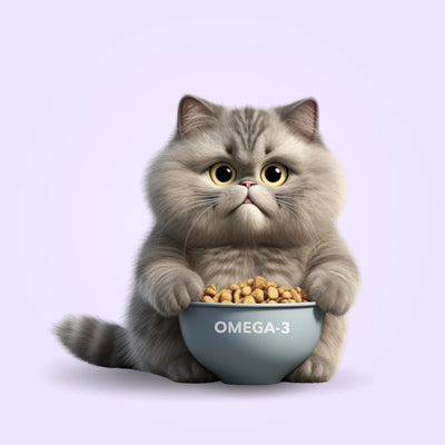 Omega-3: Tajná zbraň pro zdraví a krásu vašich mazlíčků
