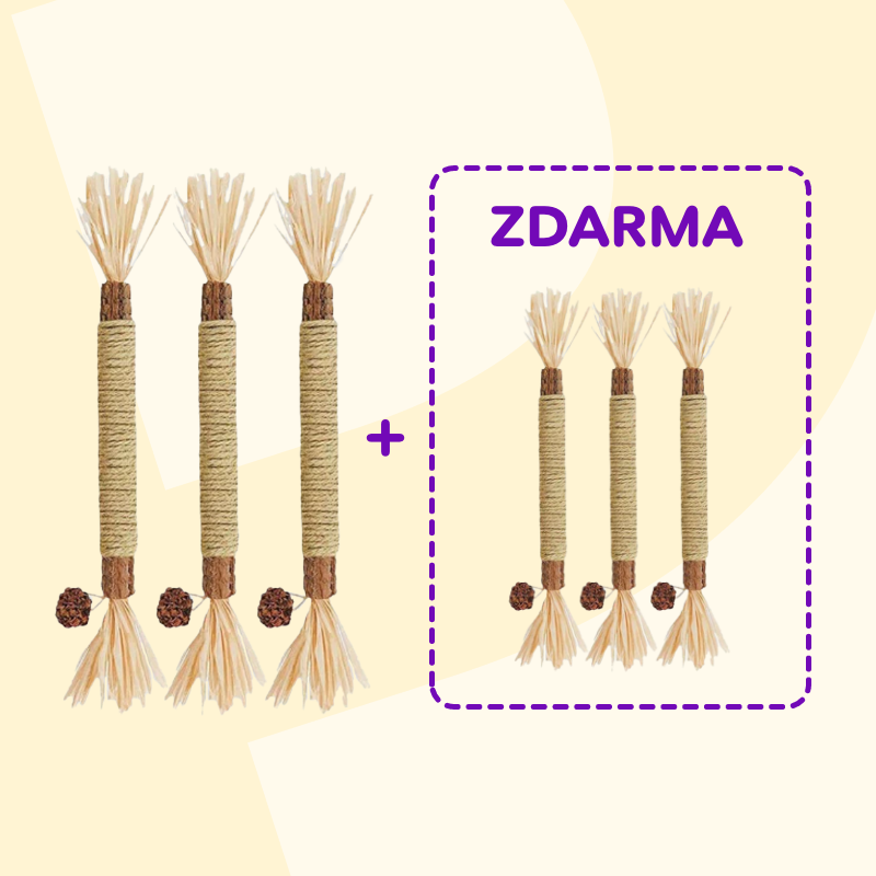1+1 ZDARMA Dentální hračka - kousací tyčinky s catnipem (2 x 3 kusy)