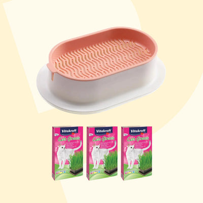 Miska na pěstování trávy kočičí + 3 balení semen ZDARMA